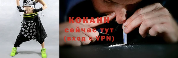 прущие грибы Зерноград