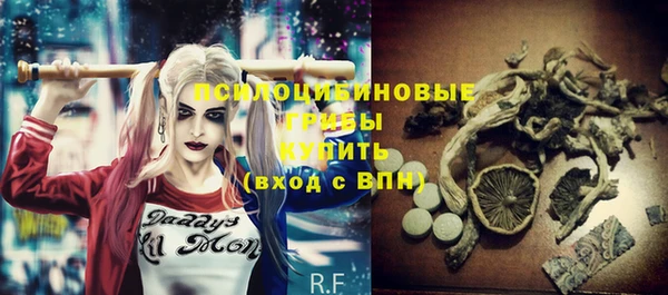 сатива Мензелинск