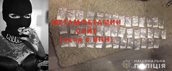 прущие грибы Зерноград