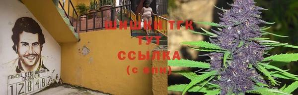 СК Елабуга