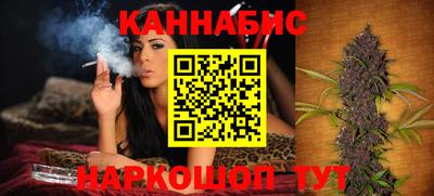 сатива Гагарин