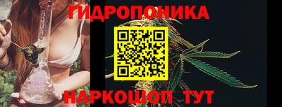 сатива Гагарин