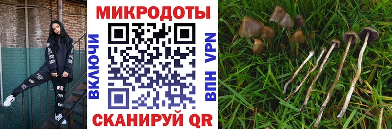 Псилоцибиновые грибы GOLDEN TEACHER  shop какой сайт  Саянск 