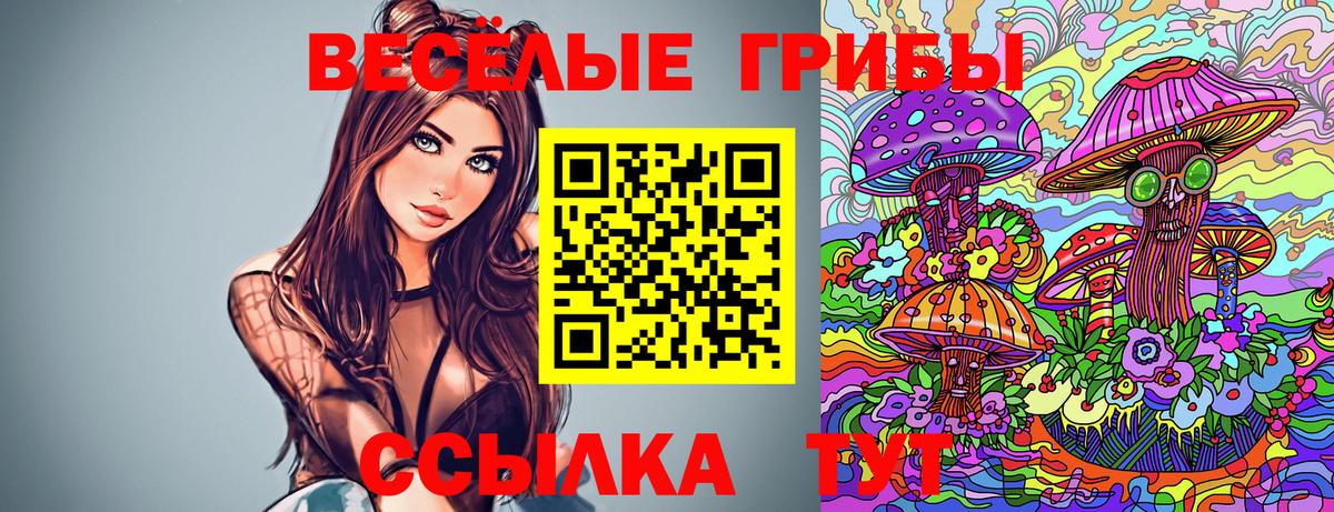Псилоцибиновые грибы Psilocybine cubensis Саянск